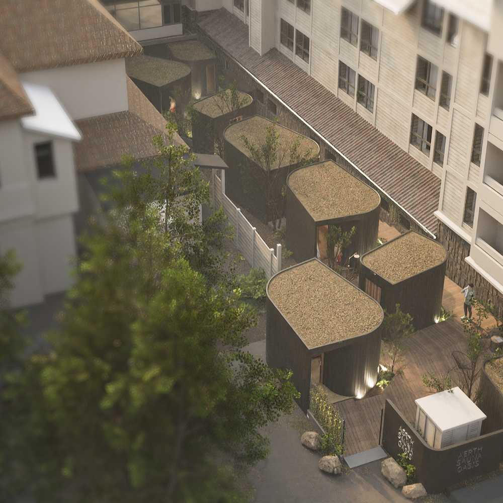 aerthsaunas