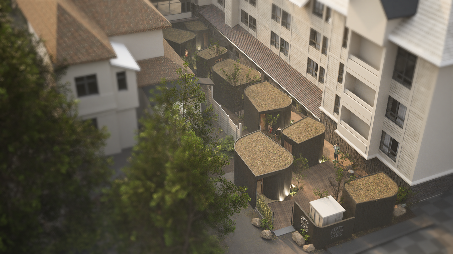 aerthsaunas